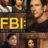 FBI Most Wanted : 4.Sezon 22.Bölüm izle